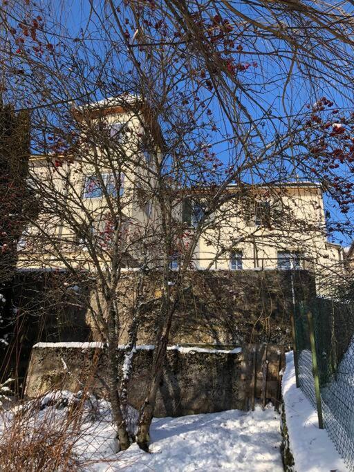 Magnifique Maison Renovee, 10Pers Rencurel Esterno foto